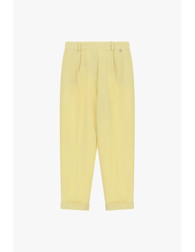 Tailored broek met plooien en hoge omslag Dixie