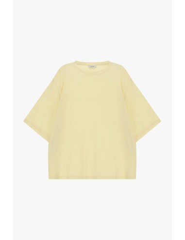 Ruim T-shirt met korte mouwen en ronde hals Dixie