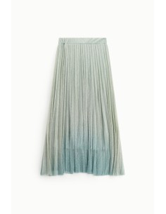 Dixie geplooide midi-rok 2