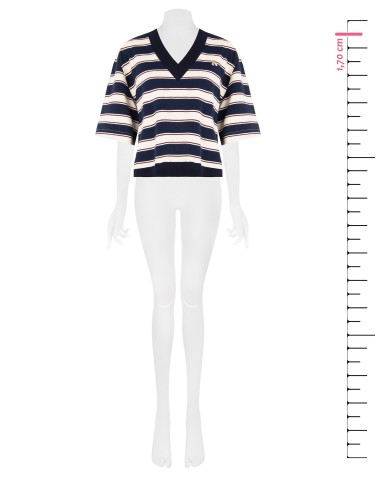 Sweater met korte mouwen van katoenmix, met V-hals en bijenbroche van Rinascimento
