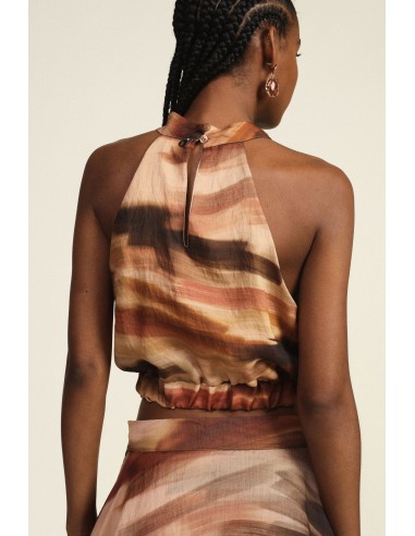 Dixie Fantasie Cropped Top met Halternek