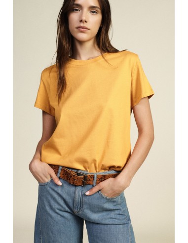 Dixie T-shirt met korte mouwen en een regular fit