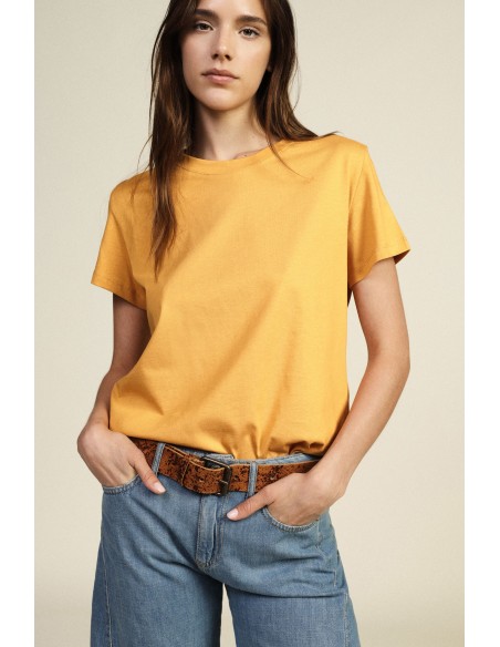 Dixie T-shirt met korte mouwen en een regular fit
