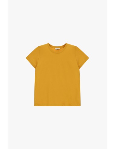 Dixie T-shirt met korte mouwen en een regular fit