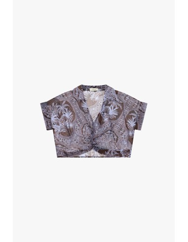 Cropped fantasietop met paisleyprint en knoopdetail aan de voorkant Dixie