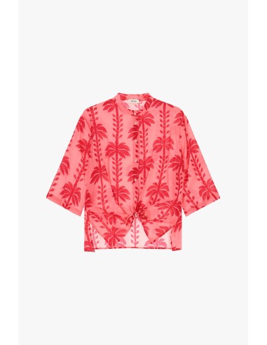 Cropblouse met palmbomenprint en knoop aan de voorkant Dixie