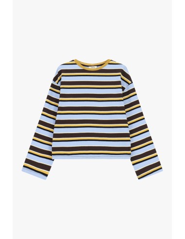 Dixie T-shirt met lange mouwen, strepen en ronde hals