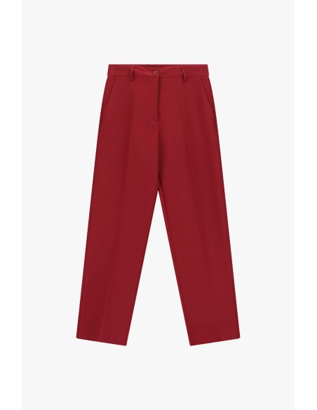 Klassieke pantalon met normale taille en plooien, alstublieft