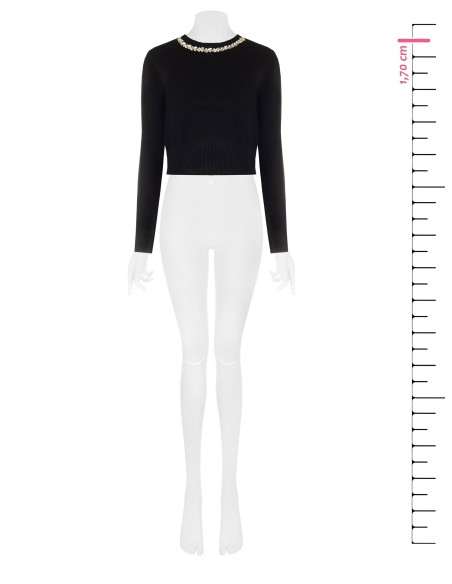 Cropped trui van viscosemix met cabochonkristallen langs de ronde hals Rinascimento