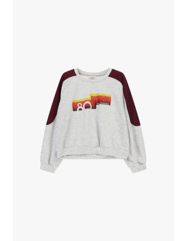 Sweater met ronde hals, contrasterende mouwen en opdruk aan de voorkant Dixie