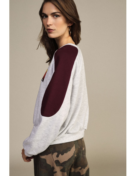 Sweater met ronde hals, contrasterende mouwen en opdruk aan de voorkant Dixie