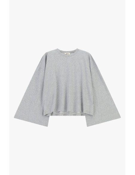 Ruimvallend T-shirt met lange mouwen en rechte zoom Dixie - Grijs