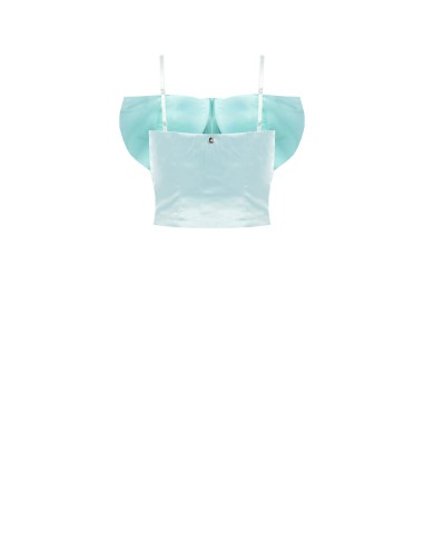 Cropped bustiertop met maxi-strik Rinascimento