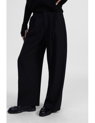Wijde broek met hoge taille en plooien Dixie