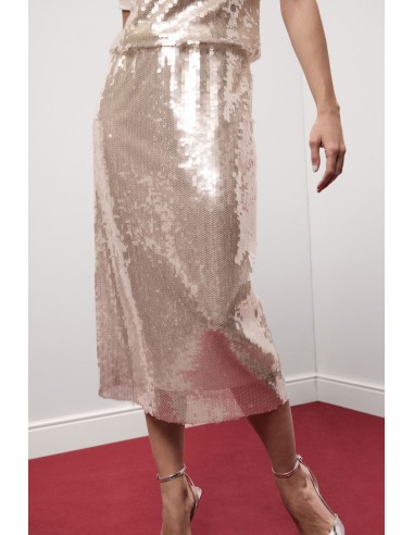 Dixie midi-rok met pailletten en hoge taille