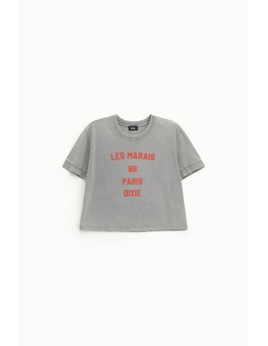 Cropped T-shirt met print op de voorkant, normale pasvorm Dixie
