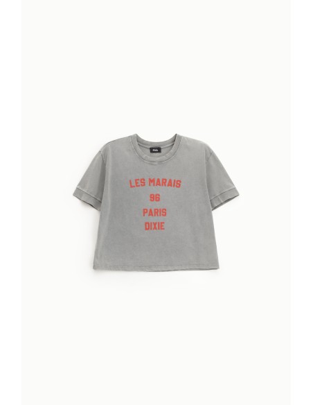 Cropped T-shirt met print op de voorkant, normale pasvorm Dixie