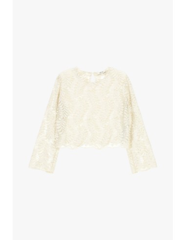 Geborduurde top met lange mouwen en transparante details Dixie