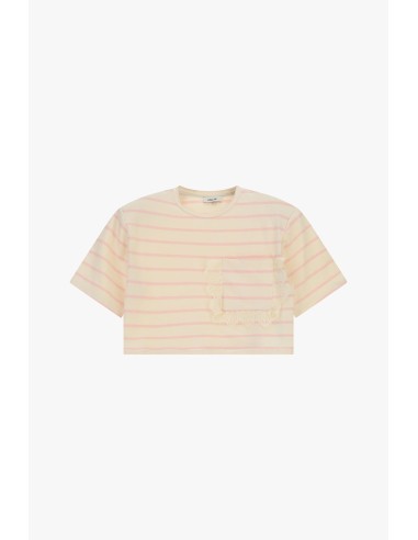 Gestreept cropped T-shirt met zak en gerafelde boord Dixie