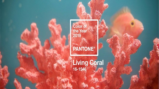 Living Coral: de kleur van 2019
